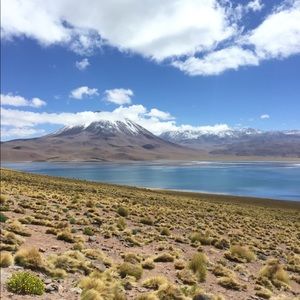 Meet your Posher, Heather